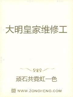 大明皇家维修工